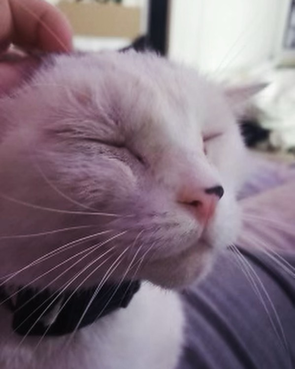 Say hello to Casper! 👻